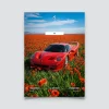 Poster Ferrari F50 rouge dans un champ de coquelicots ciel bleu.